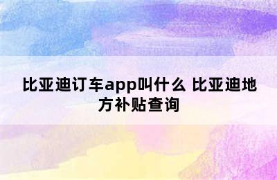 比亚迪订车app叫什么 比亚迪地方补贴查询